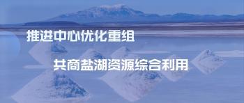 國家鹽湖資源綜合利用工程技術(shù)研究中心第四屆技術(shù)委員會會議召開